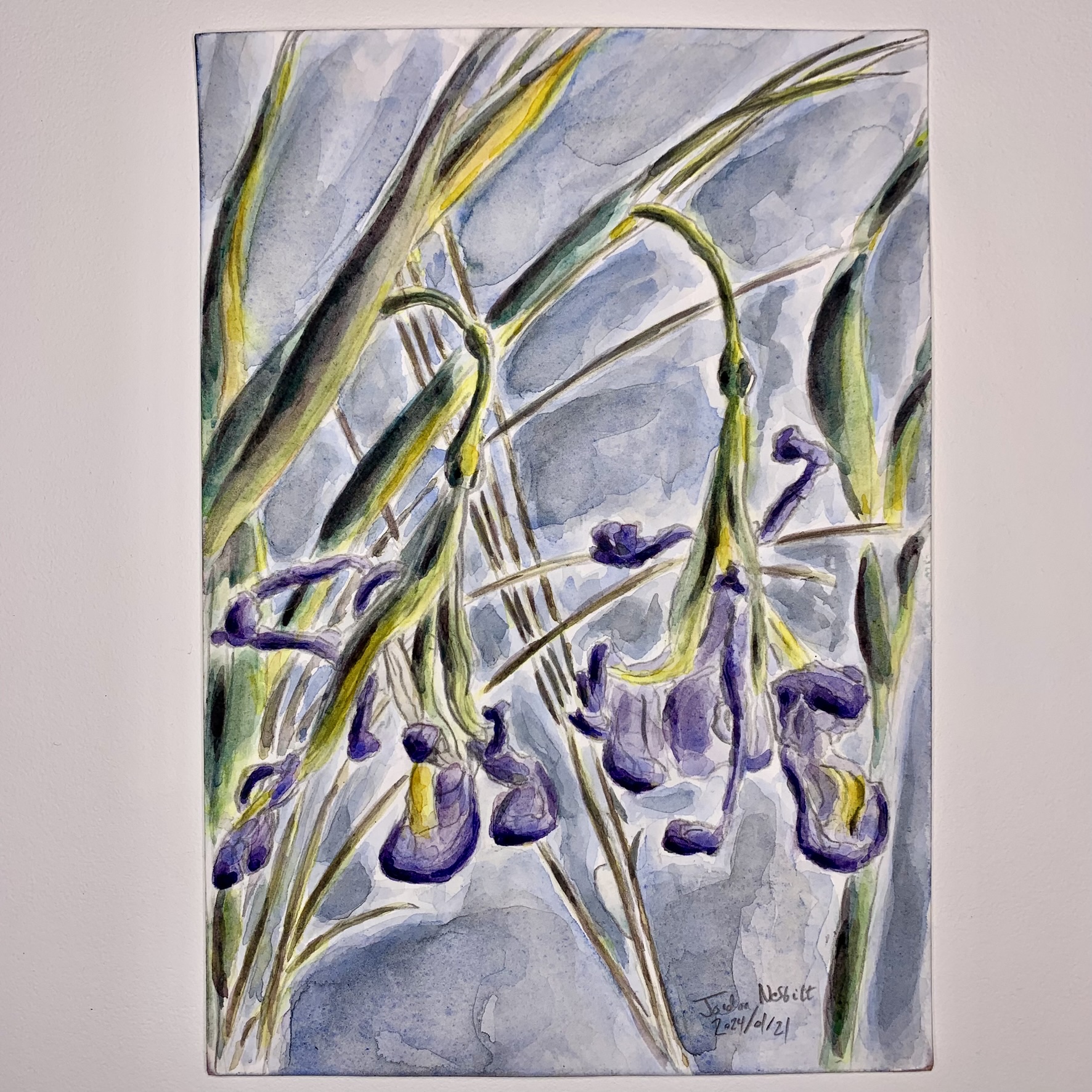 untitled